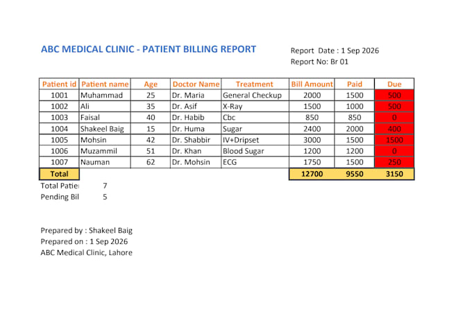 do US medical data entry and patient entry in excel
